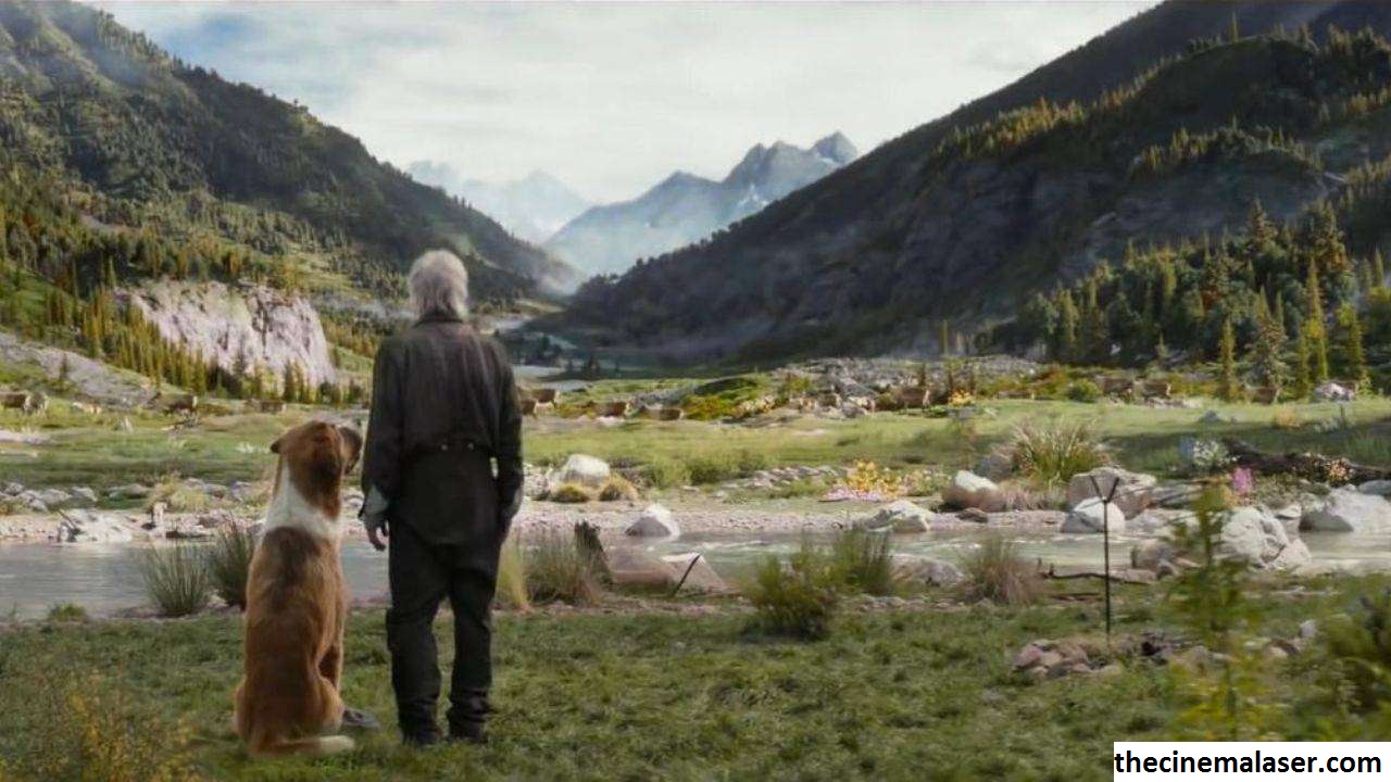 Plot Film The Call of the Wild (2020), Kisah Persahabatan Antara Manusia dan Hewan
